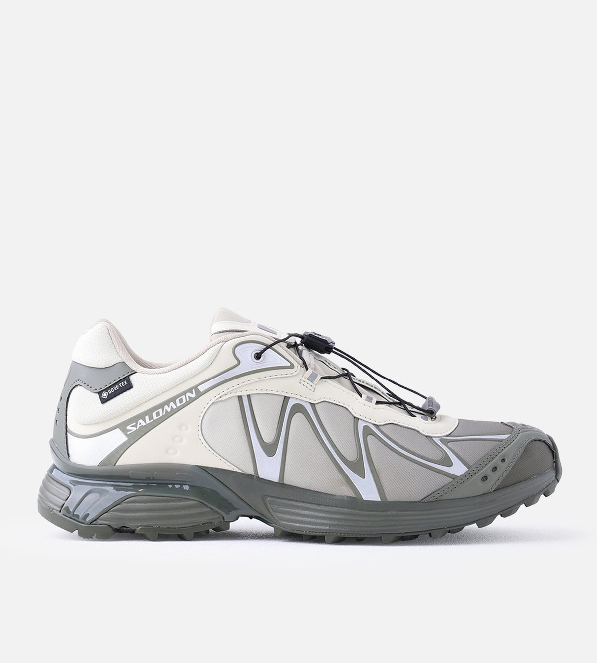 Salomon XT-Whisper GTX Asparg Dlicgr Grape