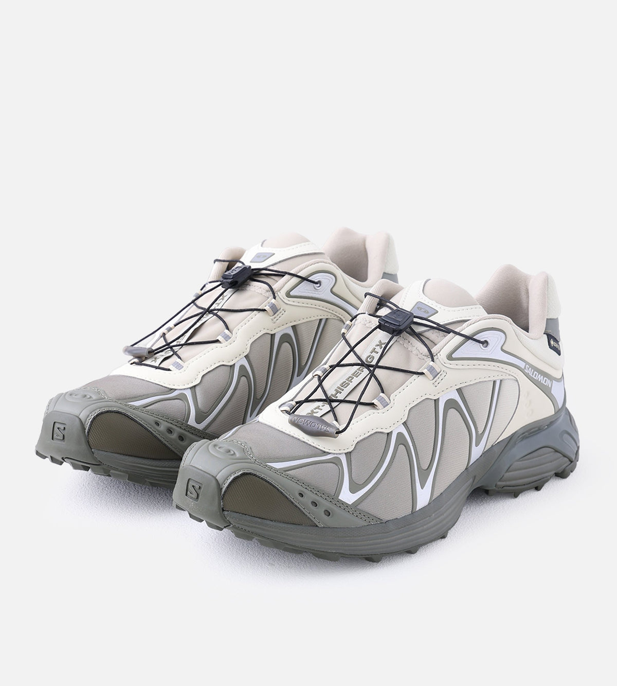 Salomon XT-Whisper GTX Asparg Dlicgr Grape