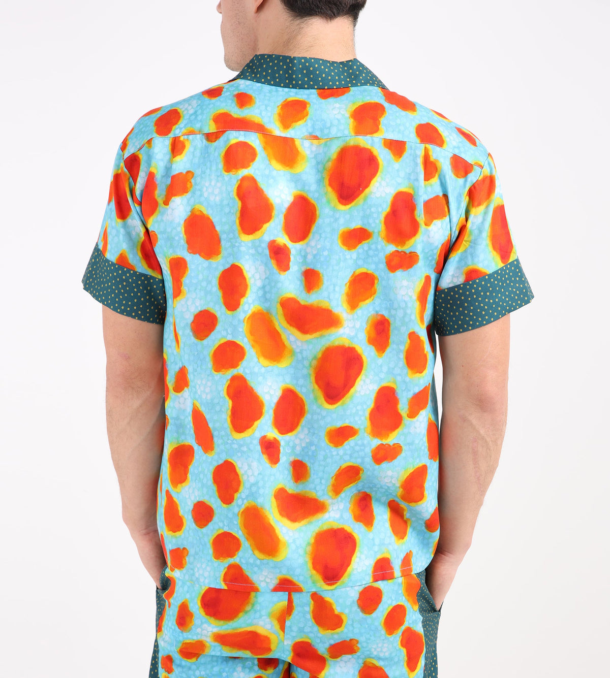 Potato Head Tokek Gecko Shirt Tokay Gecko