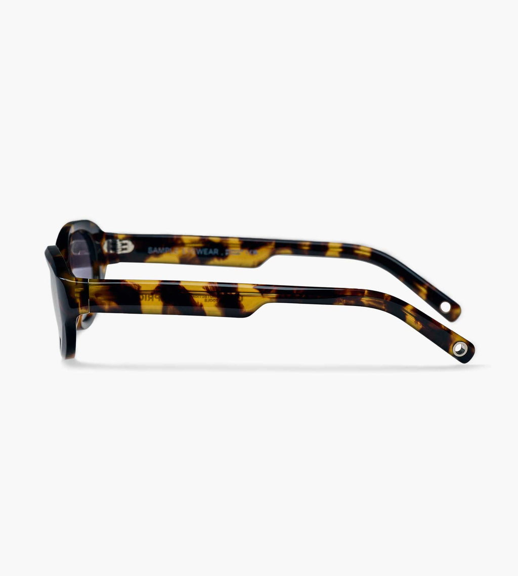 Sample_Eyewear Apricot Kyoto Tortoise